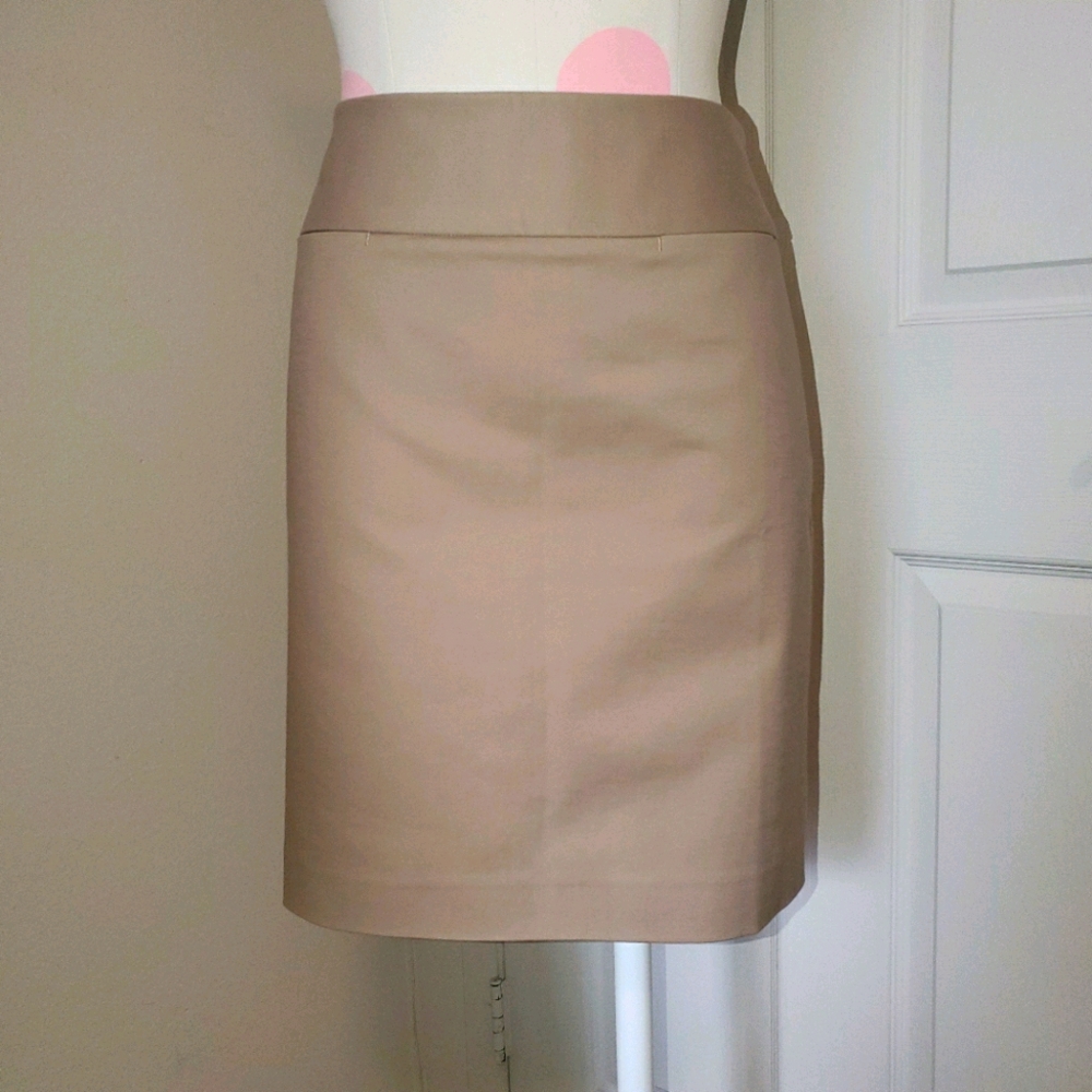 NWT Ann Taylor LOFT lined pencil skirt